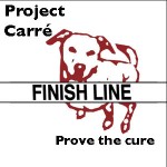 carre_logo